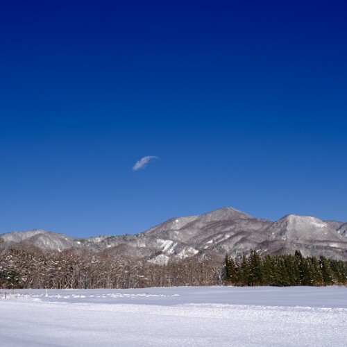 x-t4で撮影の2021年の雪の風景写真