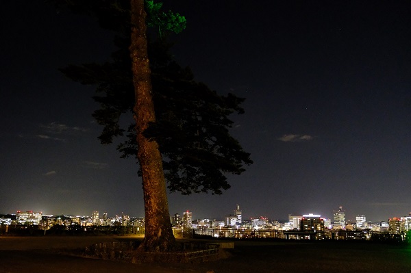 仙台の青葉城址公園の夜景の写真