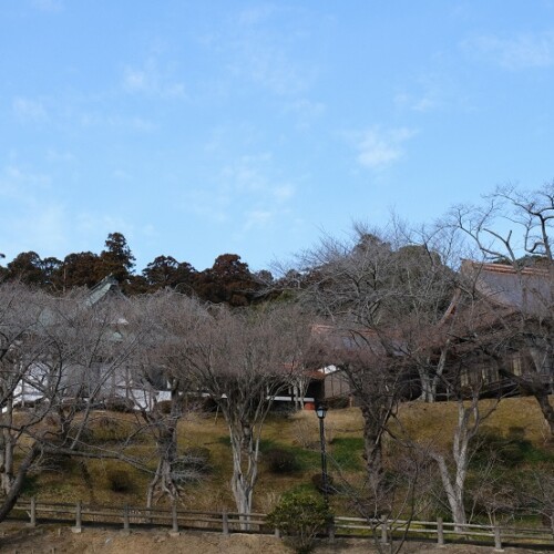 塩釜神社の2月の風景写真