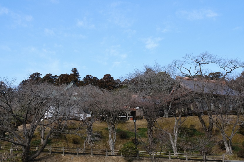 塩釜神社の2月の風景写真