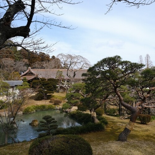 塩釜神社の春の風景写真
