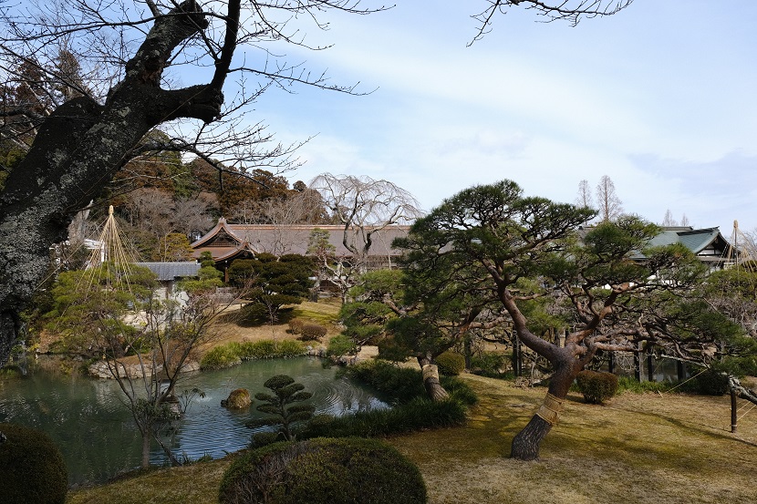 塩釜神社の春の風景写真