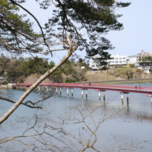 松島福浦橋の春の風景写真