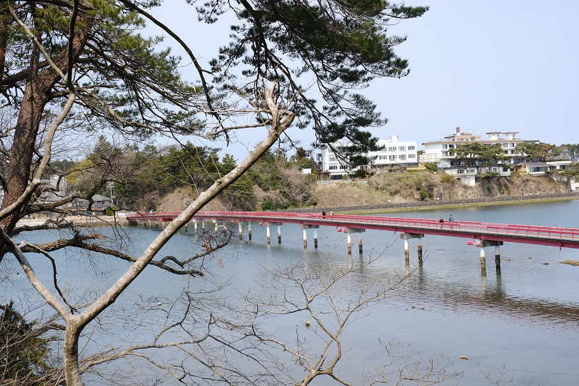 松島福浦橋の春の風景写真