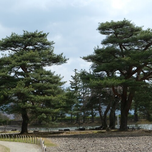毛越寺の春の風景写真