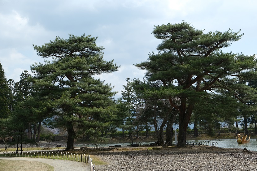 毛越寺の春の風景写真