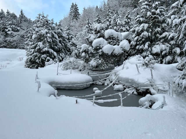 冬の雪解け間近の写真