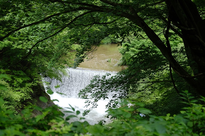 鳴子渓谷の7月の風景写真