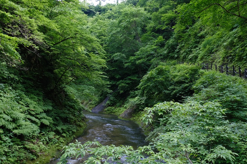 鳴子渓谷の7月の風景写真