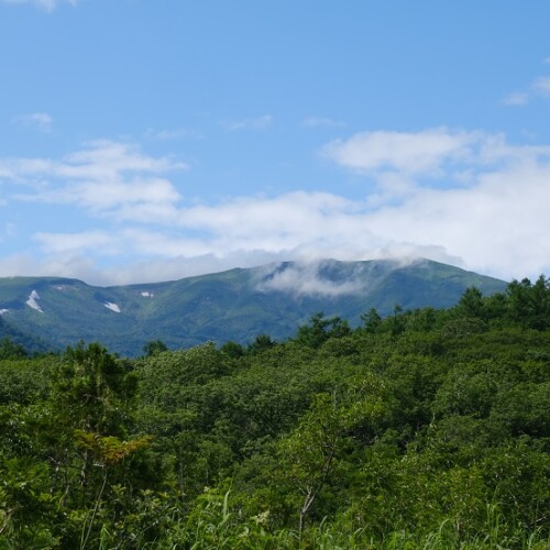 栗駒山の7月の風景写真
