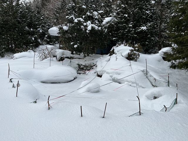 鯉の池の２月の氷が張った上に雪の風景