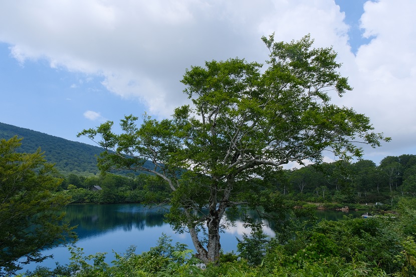 須川湖の夏の風景写真