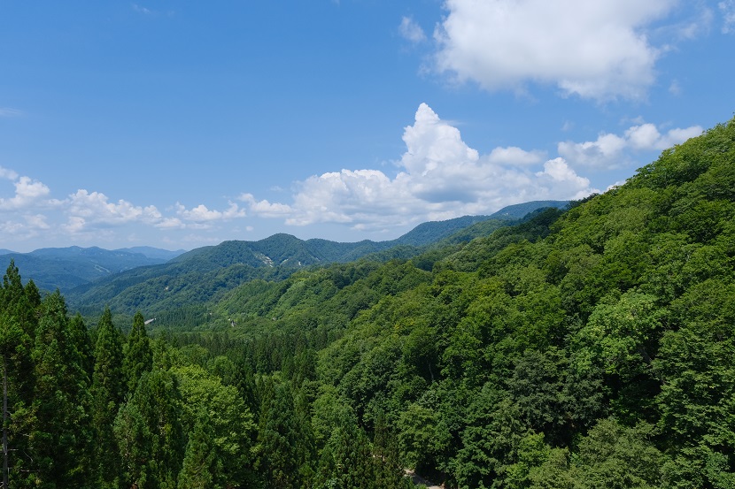 須川岳の周辺の風景写真