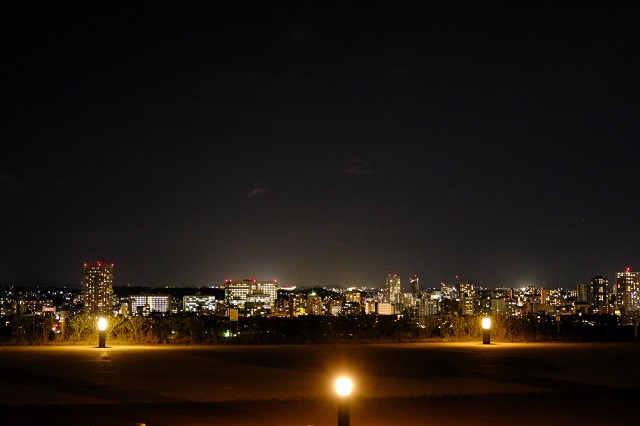 仙台城址公園の夜景写真