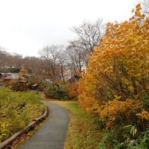 栗駒山須川湖の紅葉の写真