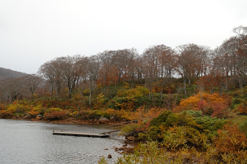 栗駒山須川湖の紅葉の写真