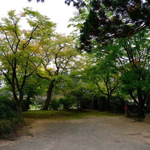 毛越寺庭園の9月の風景写真