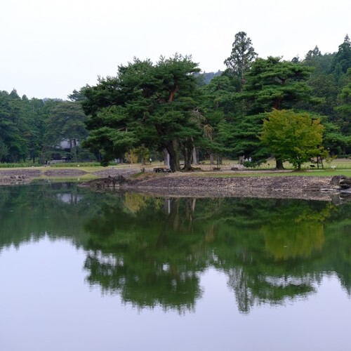 毛越寺の9月の風景写真