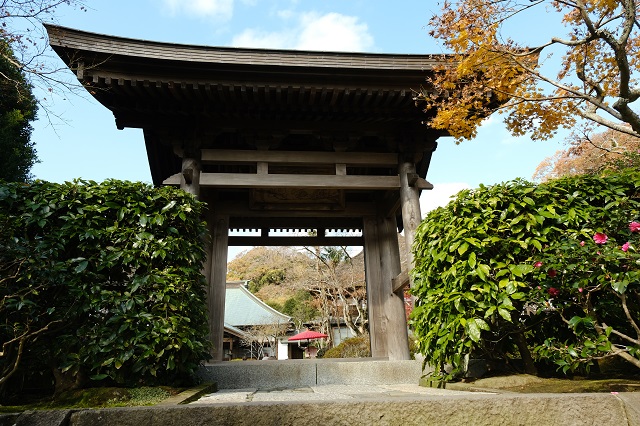 鎌倉海蔵寺の山門の写真