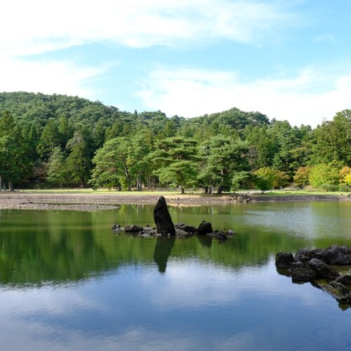 毛越寺大泉が池の風景写真
