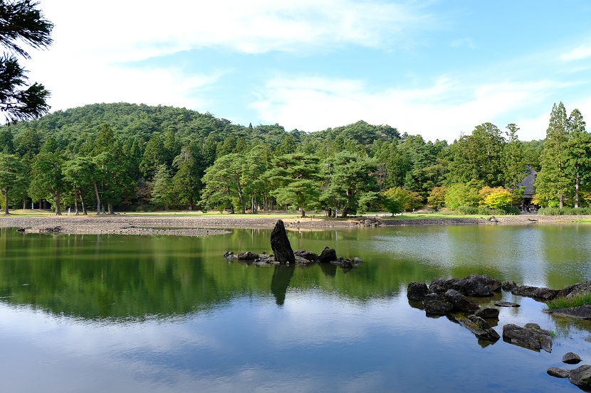 毛越寺大泉が池の風景写真