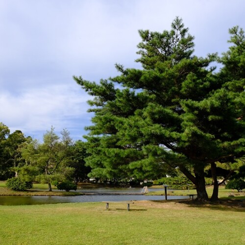 奥州平泉毛越寺脇観自在王院跡の風景写真