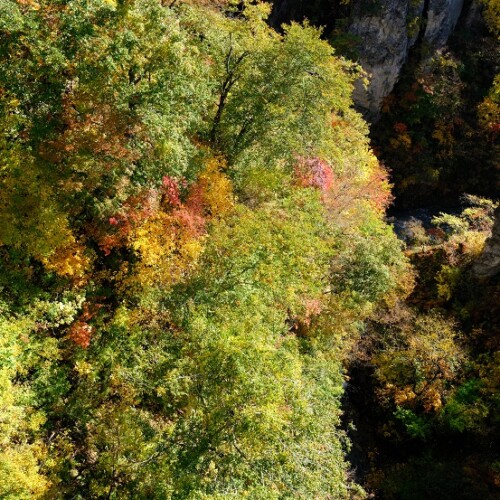 鳴子峡の紅葉の写真