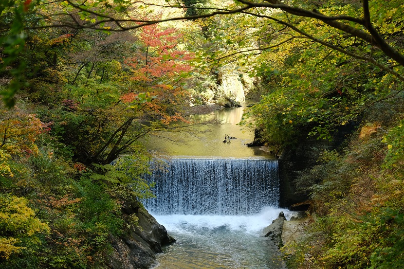 鳴子峡の紅葉の写真