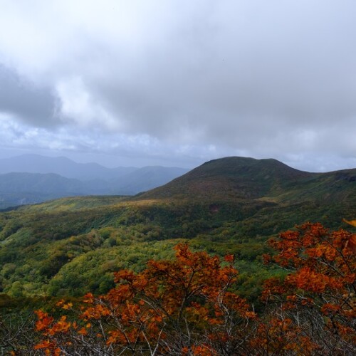栗駒山の紅葉の写真