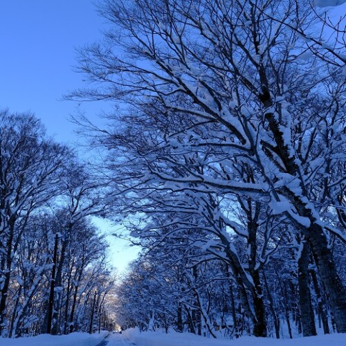 栗駒山周辺の冬の風景写真