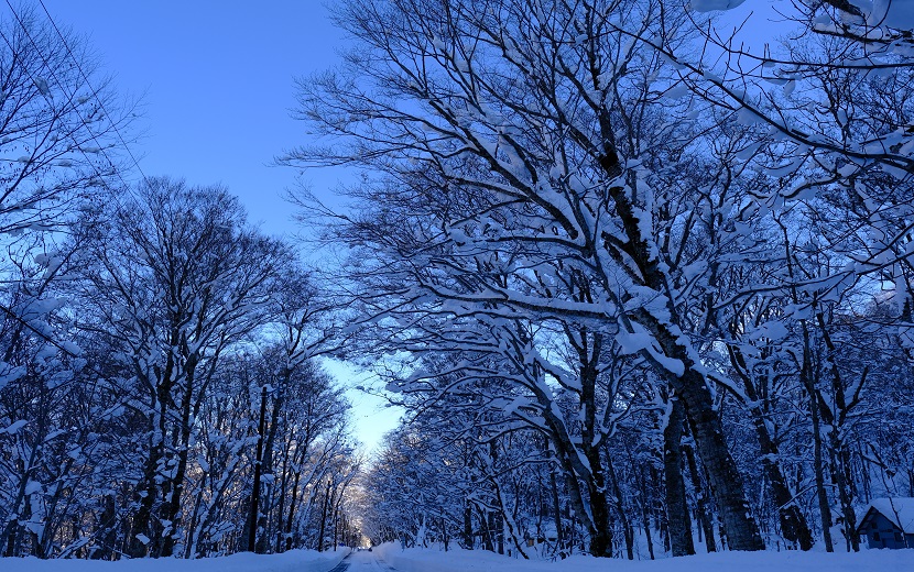 栗駒山周辺の冬の風景写真