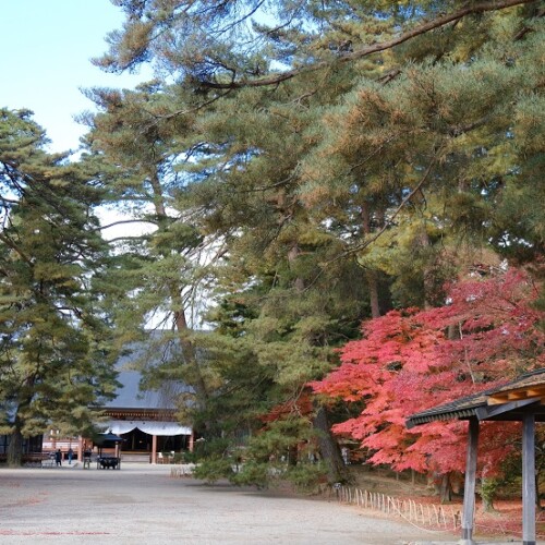 世界遺産奥州平泉毛越寺の紅葉の写真