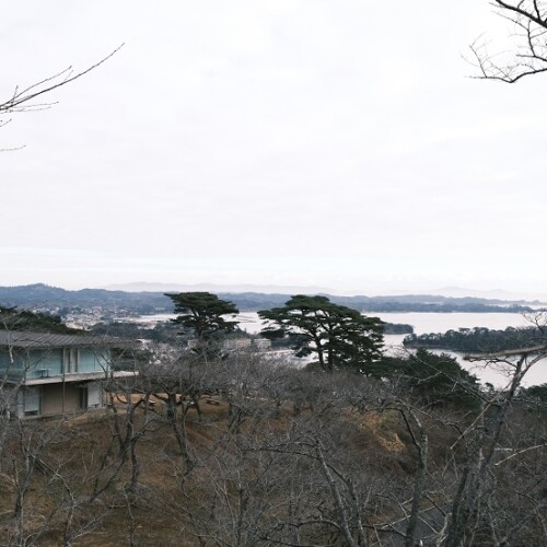 松島西行戻しの松公園の1月の風景写真