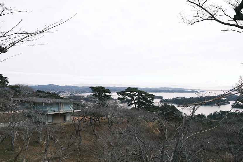 松島西行戻しの松公園の1月の風景写真