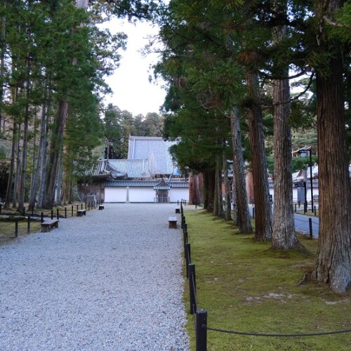 松島瑞巌寺の12月の参道の風景
