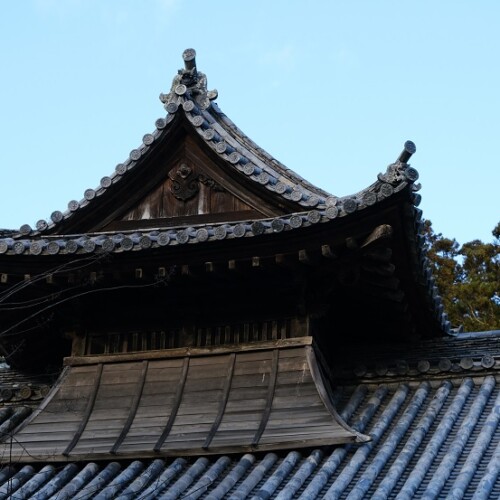 松島瑞巌寺の12月の風景