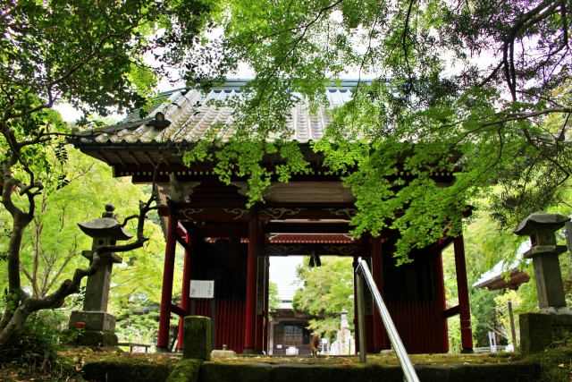 茨城県小松寺の写真