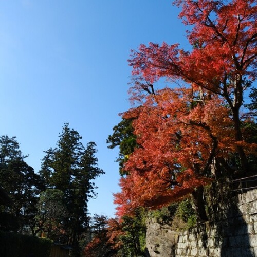 鎌倉円覚寺の写真