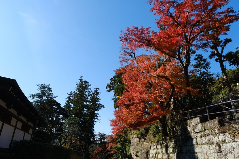 鎌倉円覚寺の写真