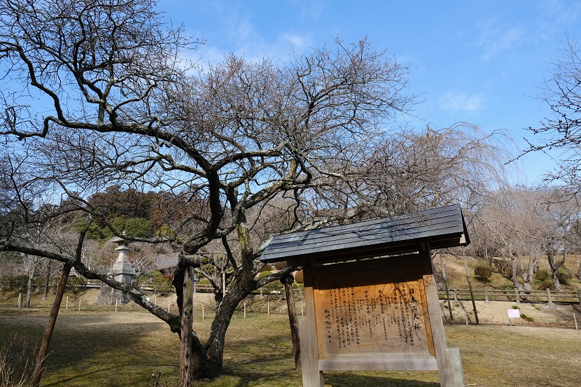 2月の塩釜神社の写真