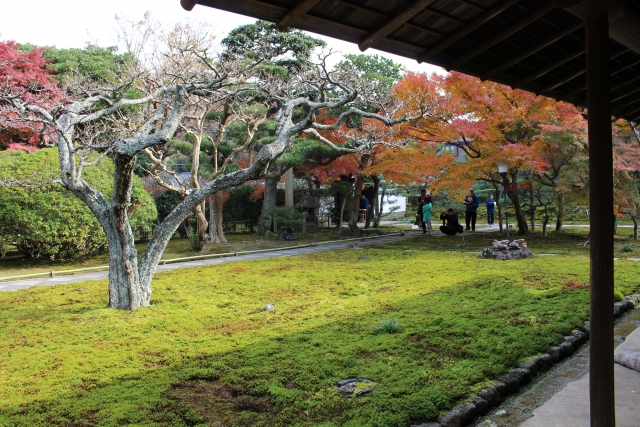鎌倉寺の景色の写真