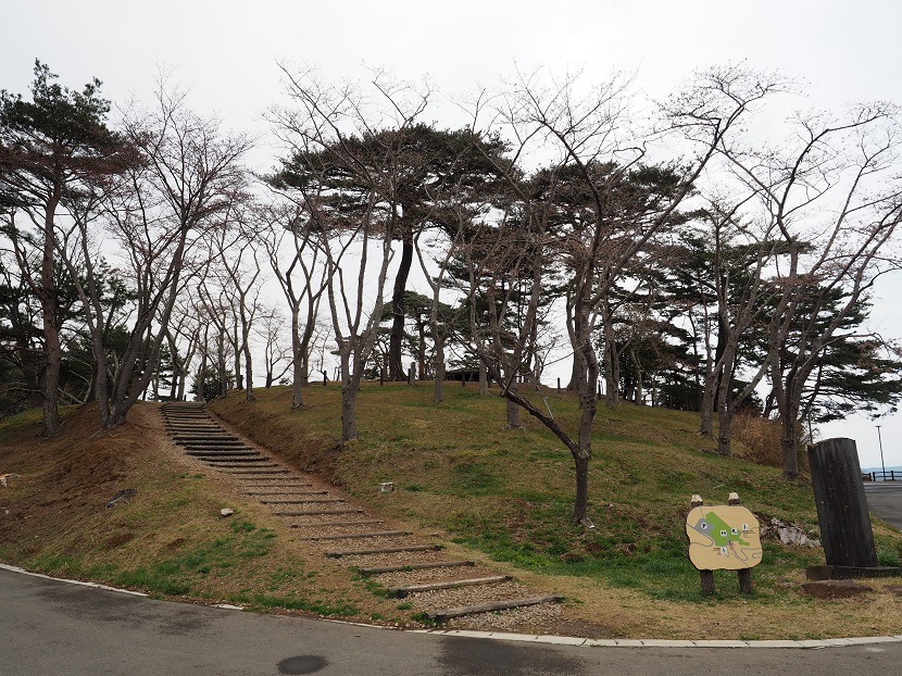 4月の松島西行戻しの松公園の風景