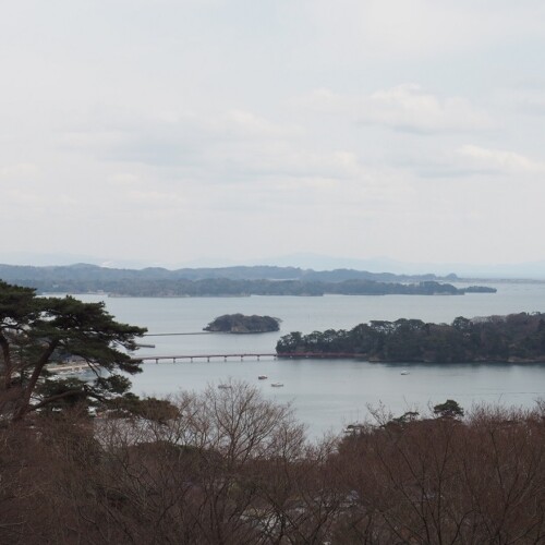 春の松島西行戻しの松公園から福浦橋を望んだ写真