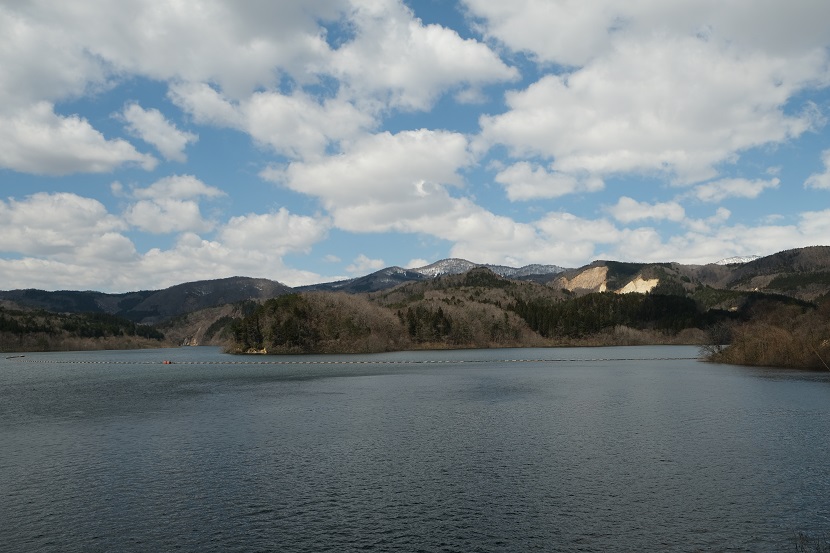春のダムの風景写真