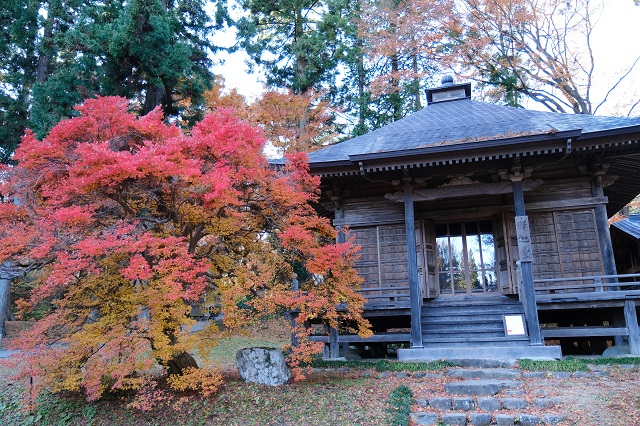 中尊寺の秋の紅葉の写真