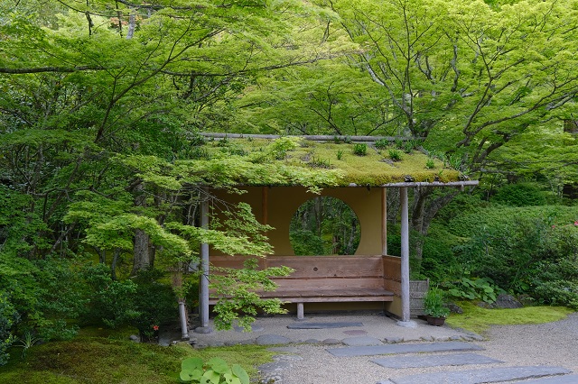 円通院の日本庭園の風景写真
