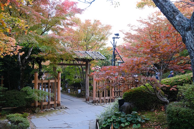円通院の紅葉の写真