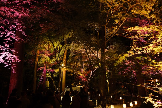 円通院のライトアップの風景写真