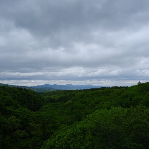 八幡平の風景写真