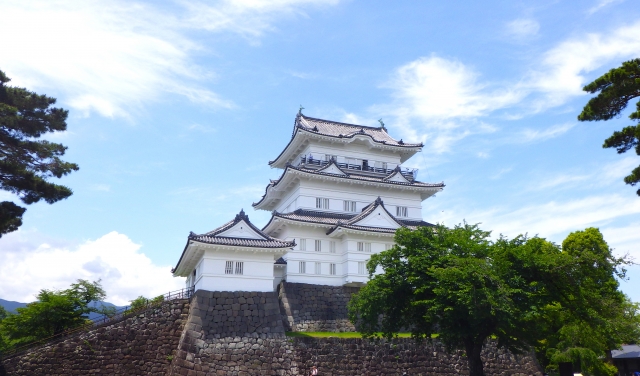 小田原城の写真
